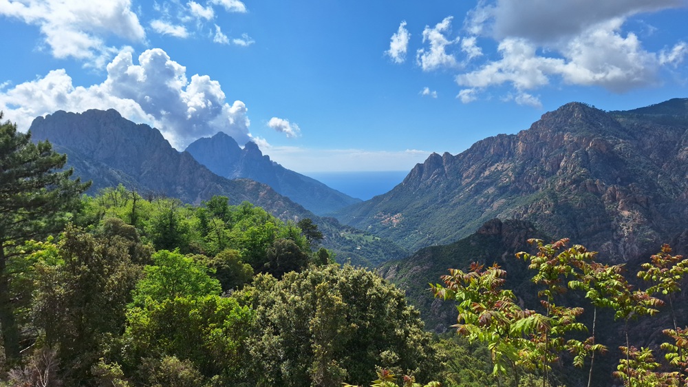 Korsika - Berg-Panorama - Norbert J. Seifert